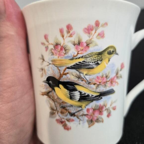 Queen's Rosina Fine Bone China Coffee Mugs Birds of America Series 1 Set of 2 - Picture 7 of 10